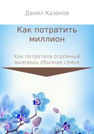 бесплатно читать книгу Как потратить миллион рублей автора Данил Казаков