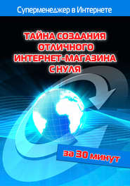 бесплатно читать книгу Тайна создания отличного интернет-магазина с нуля автора Илья Мельников