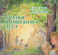 бесплатно читать книгу Сказки Волшебного леса автора Екатерина Болдинова