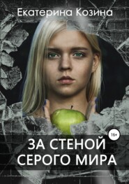 бесплатно читать книгу За стеной серого мира автора Екатерина Козина