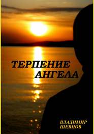бесплатно читать книгу Терпение ангела автора Владимир Шевцов