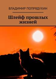 бесплатно читать книгу Шлейф прошлых жизней автора Владимир Попрядухин