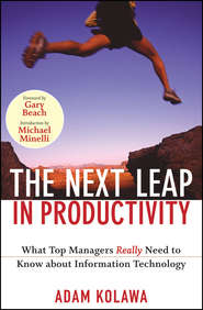 бесплатно читать книгу The Next Leap in Productivity. What Top Managers Really Need to Know about Information Technology автора Adam Kolawa