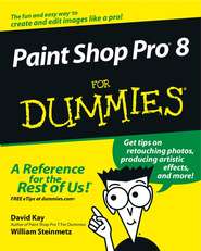 бесплатно читать книгу Paint Shop Pro 8 For Dummies автора William Steinmetz