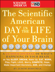 бесплатно читать книгу The Scientific American Day in the Life of Your Brain. A 24 hour Journal of What's Happening in Your Brain as you Sleep, Dream, Wake Up, Eat, Work, Play, Fight, Love, Worry, Compete, Hope, Make Import автора Judith Horstman