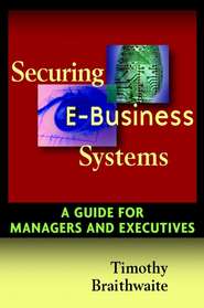 бесплатно читать книгу Securing E-Business Systems. A Guide for Managers and Executives автора Timothy Braithwaite