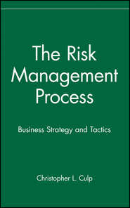 бесплатно читать книгу The Risk Management Process. Business Strategy and Tactics автора Christopher Culp