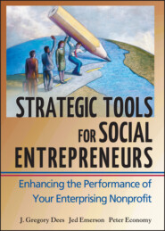 бесплатно читать книгу Strategic Tools for Social Entrepreneurs. Enhancing the Performance of Your Enterprising Nonprofit автора 