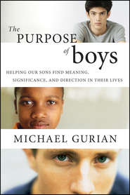 бесплатно читать книгу The Purpose of Boys. Helping Our Sons Find Meaning, Significance, and Direction in Their Lives автора Michael Gurian