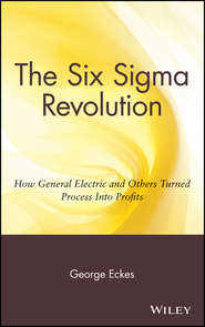 бесплатно читать книгу The Six Sigma Revolution. How General Electric and Others Turned Process Into Profits автора George Eckes