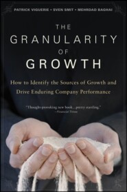 бесплатно читать книгу The Granularity of Growth. How to Identify the Sources of Growth and Drive Enduring Company Performance автора 