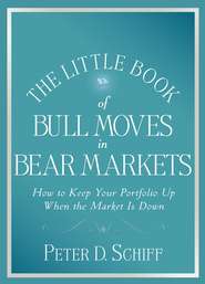 бесплатно читать книгу The Little Book of Bull Moves in Bear Markets. How to Keep Your Portfolio Up When the Market is Down автора Peter Schiff