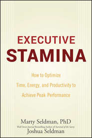бесплатно читать книгу Executive Stamina. How to Optimize Time, Energy, and Productivity to Achieve Peak Performance автора Marty Seldman