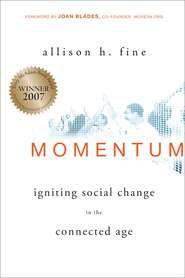 бесплатно читать книгу Momentum. Igniting Social Change in the Connected Age автора Allison Fine