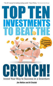 бесплатно читать книгу Top Ten Investments to Beat the Crunch!. Invest Your Way to Success even in a Downturn автора Jim Mellon