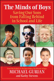 бесплатно читать книгу The Minds of Boys. Saving Our Sons From Falling Behind in School and Life автора Michael Gurian