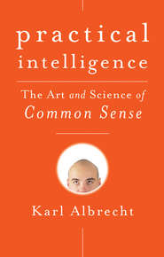 бесплатно читать книгу Practical Intelligence. The Art and Science of Common Sense автора Karl Albrecht