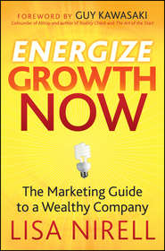 бесплатно читать книгу Energize Growth Now. The Marketing Guide to a Wealthy Company автора Lisa Nirell