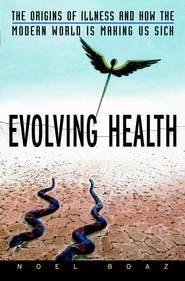 бесплатно читать книгу Evolving Health. The Origins of Illness and How the Modern World Is Making Us Sick автора Noel Boaz