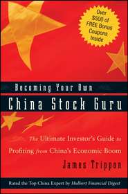 бесплатно читать книгу Becoming Your Own China Stock Guru. The Ultimate Investor's Guide to Profiting from China's Economic Boom автора James Trippon