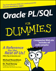 бесплатно читать книгу Oracle PL / SQL For Dummies автора Michael Rosenblum