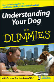 бесплатно читать книгу Understanding Your Dog For Dummies автора Sarah Hodgson