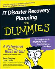 бесплатно читать книгу IT Disaster Recovery Planning For Dummies автора Peter Gregory