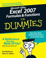 бесплатно читать книгу Microsoft Office Excel 2007 Formulas and Functions For Dummies автора Ken Bluttman