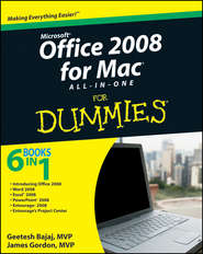 бесплатно читать книгу Office 2008 for Mac All-in-One For Dummies автора Geetesh Bajaj