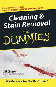 бесплатно читать книгу Cleaning and Stain Removal for Dummies автора Gill Chilton