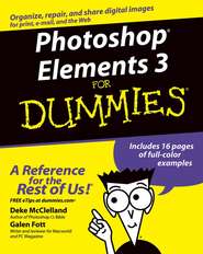 бесплатно читать книгу Photoshop Elements 3 For Dummies автора Deke McClelland