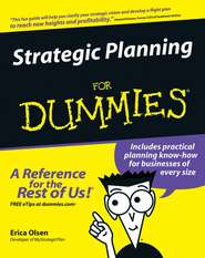 бесплатно читать книгу Strategic Planning For Dummies автора Erica Olsen