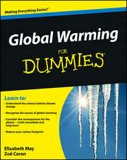 бесплатно читать книгу Global Warming For Dummies автора Elizabeth May