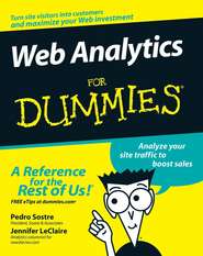 бесплатно читать книгу Web Analytics For Dummies автора Pedro Sostre