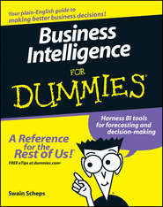 бесплатно читать книгу Business Intelligence For Dummies автора Swain Scheps