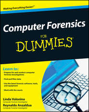 бесплатно читать книгу Computer Forensics For Dummies автора Reynaldo Anzaldua
