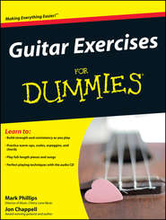 бесплатно читать книгу Guitar Exercises For Dummies автора Jon Chappell