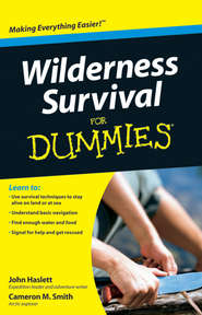 бесплатно читать книгу Wilderness Survival For Dummies автора Cameron Smith
