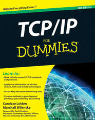 бесплатно читать книгу TCP / IP For Dummies автора Candace Leiden