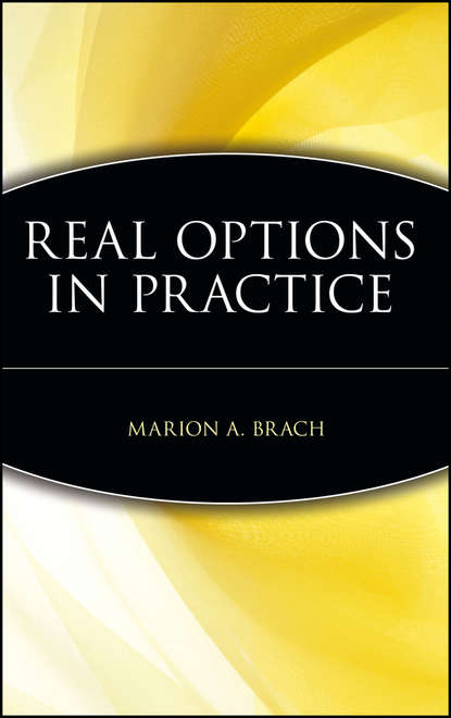Real Options in Practice