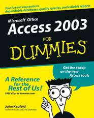 бесплатно читать книгу Access 2003 For Dummies автора John Kaufeld