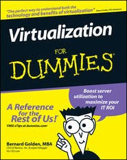 бесплатно читать книгу Virtualization For Dummies автора Bernard Golden