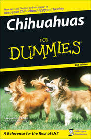 бесплатно читать книгу Chihuahuas For Dummies автора Jacqueline O'Neil