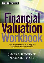 бесплатно читать книгу Financial Valuation Workbook автора James Hitchner
