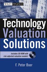 бесплатно читать книгу Technology Valuation Solutions автора F. Boer