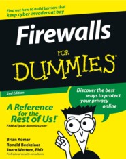 бесплатно читать книгу Firewalls For Dummies автора 