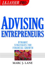 бесплатно читать книгу Advising Entrepreneurs. Dynamic Strategies for Financial Growth автора Marc Lane