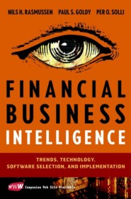 бесплатно читать книгу Financial Business Intelligence. Trends, Technology, Software Selection, and Implementation автора 