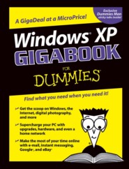 бесплатно читать книгу Windows XP Gigabook For Dummies автора 