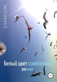 бесплатно читать книгу Белый цвет синего моря автора  А. Зайнуллин, Р. Зайнуллин